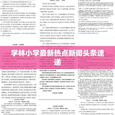 學林小學最新熱點新聞頭條速遞