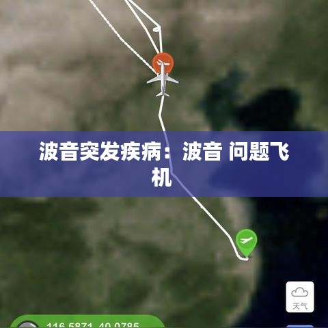 波音突發(fā)疾?。翰ㄒ?問(wèn)題飛機(jī) 