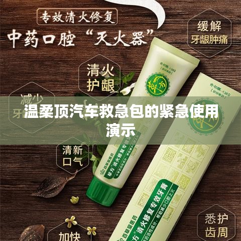 溫柔頂汽車救急包緊急使用指南，演示篇