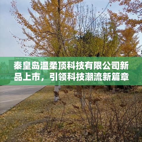 秦皇島溫柔頂科技新品發(fā)布，科技潮流新篇章開啟