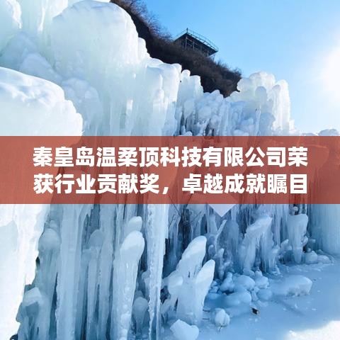 秦皇島溫柔頂科技榮獲行業(yè)貢獻獎，引領(lǐng)創(chuàng)新風潮，卓越成就矚目