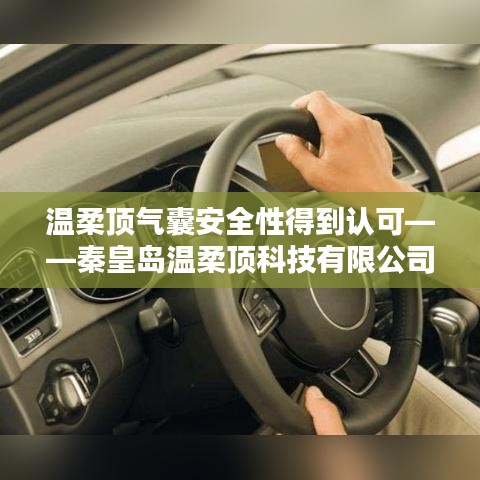 秦皇島溫柔頂科技引領(lǐng)行業(yè)新標桿，氣囊安全性備受認可