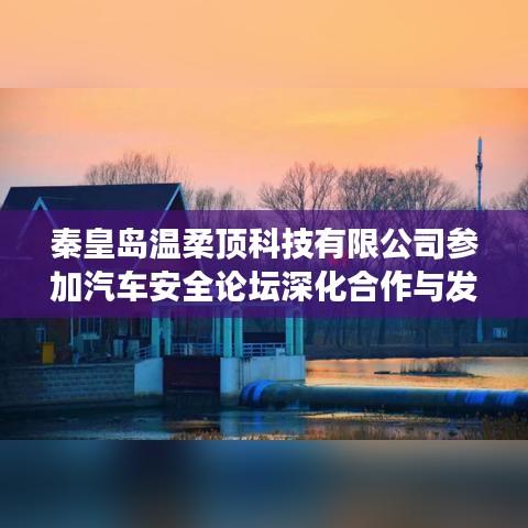 秦皇島溫柔頂科技參加汽車安全論壇，深化合作，共謀發(fā)展