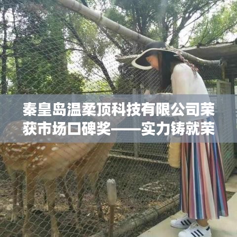 秦皇島溫柔頂科技榮獲市場口碑獎，實力創(chuàng)新，引領未來