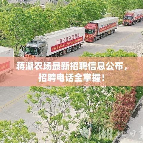 蔣湖農(nóng)場最新招聘信息公布，招聘電話全掌握！