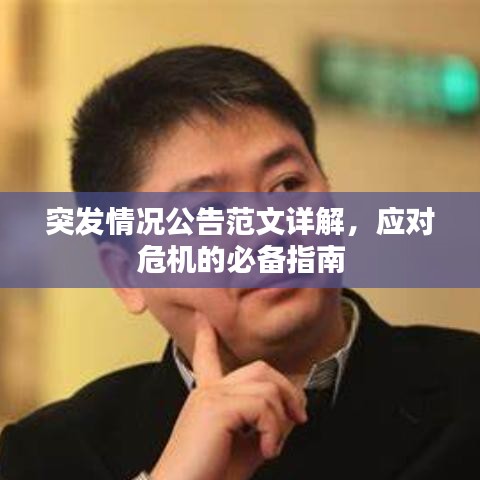 突發(fā)情況公告范文詳解，應(yīng)對(duì)危機(jī)的必備指南
