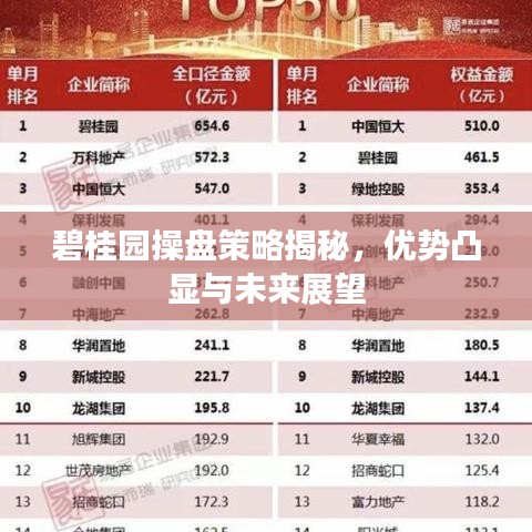 碧桂園操盤策略揭秘，優(yōu)勢凸顯與未來展望
