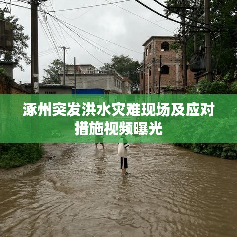 粗衣淡飯 第3頁