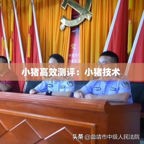 小豬高效測評：小豬技術(shù) 