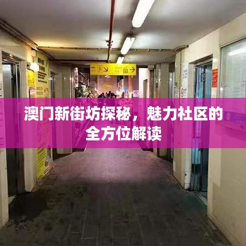 澳門新街坊探秘，魅力社區(qū)的全方位解讀