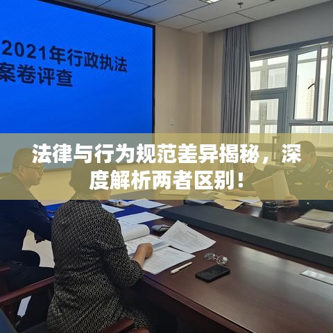 法律與行為規(guī)范差異揭秘，深度解析兩者區(qū)別！