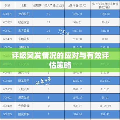 評級突發(fā)情況的應(yīng)對與有效評估策略