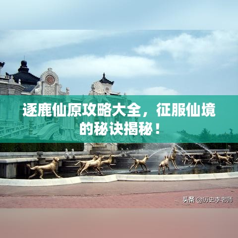 逐鹿仙原攻略大全，征服仙境的秘訣揭秘！