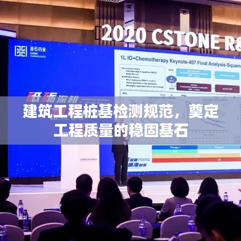 建筑工程樁基檢測(cè)規(guī)范，奠定工程質(zhì)量的穩(wěn)固基石