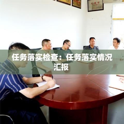 任務落實檢查：任務落實情況匯報 