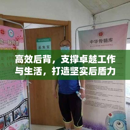 高效后背，支撐卓越工作與生活，打造堅實后盾力量