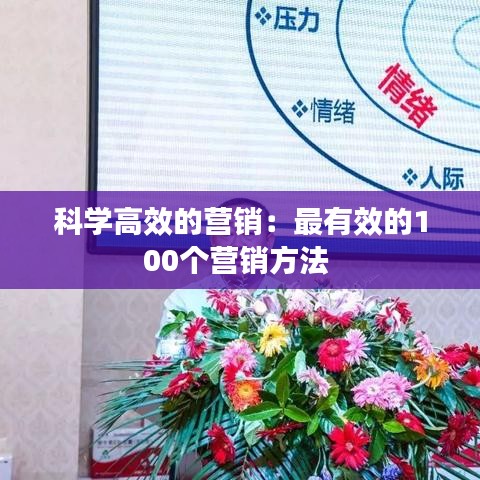 科學(xué)高效的營銷：最有效的100個(gè)營銷方法 