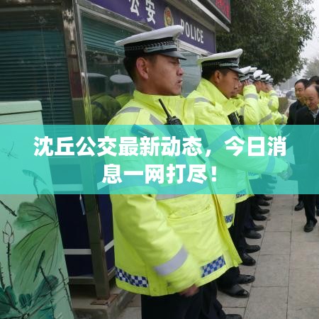 沈丘公交最新動態(tài)，今日消息一網(wǎng)打盡！