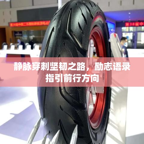 靜脈穿刺堅(jiān)韌之路，勵(lì)志語錄指引前行方向