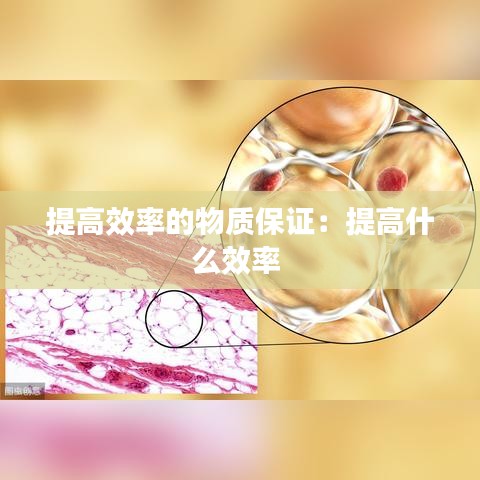 提高效率的物質(zhì)保證：提高什么效率 