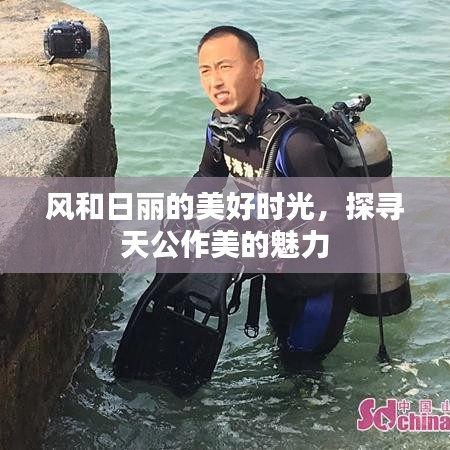 風(fēng)和日麗的美好時(shí)光，探尋天公作美的魅力