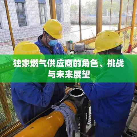 獨家燃氣供應商的角色、挑戰(zhàn)與未來展望