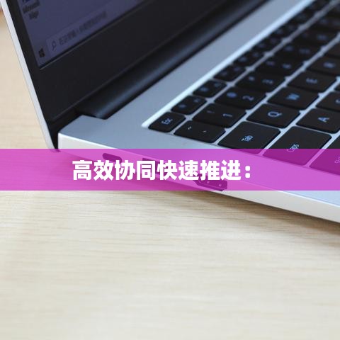 高效協(xié)同快速推進： 