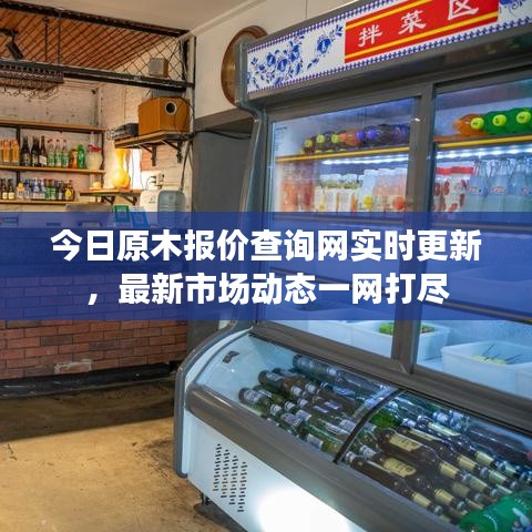 今日原木報(bào)價查詢網(wǎng)實(shí)時更新，最新市場動態(tài)一網(wǎng)打盡