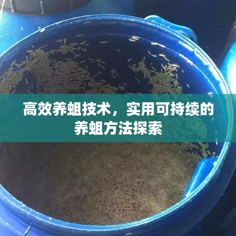 高效養(yǎng)蛆技術(shù)，實(shí)用可持續(xù)的養(yǎng)蛆方法探索