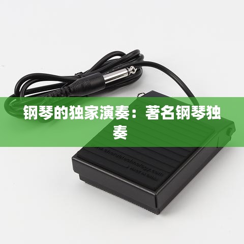 鋼琴的獨(dú)家演奏：著名鋼琴獨(dú)奏 