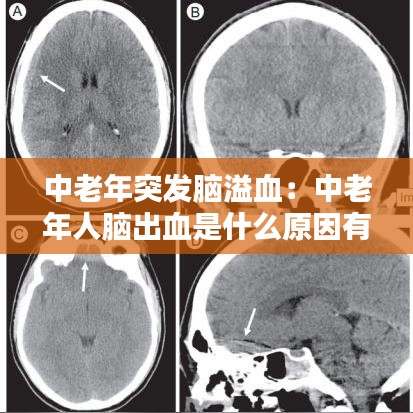 樸素?zé)o華 第3頁(yè)