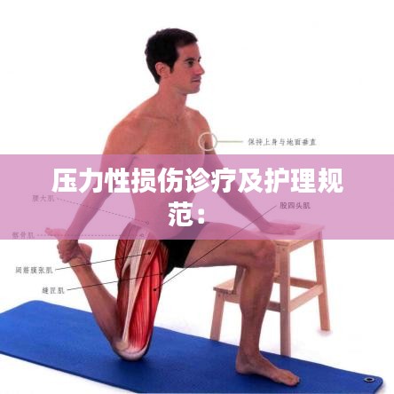 壓力性損傷診療及護(hù)理規(guī)范： 