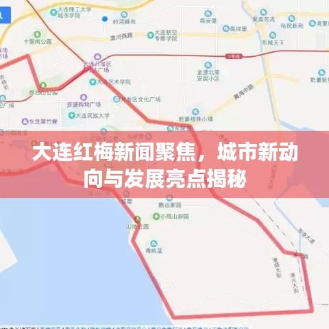 大連紅梅新聞聚焦，城市新動向與發(fā)展亮點揭秘
