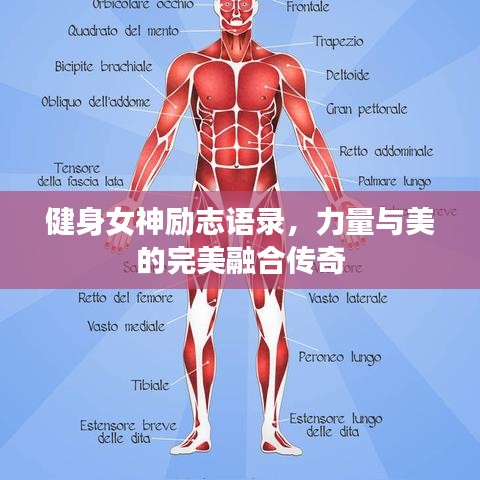 健身女神勵(lì)志語錄，力量與美的完美融合傳奇