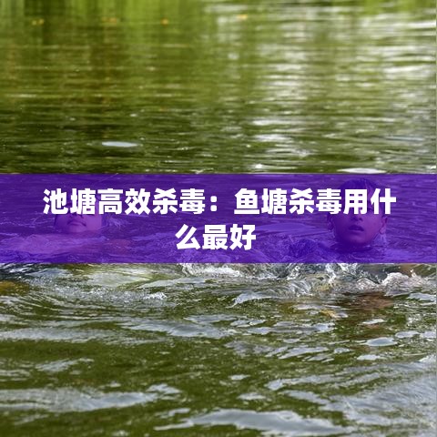 池塘高效殺毒：魚塘殺毒用什么最好 