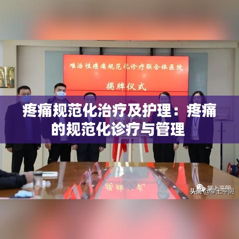 疼痛規(guī)范化治療及護(hù)理：疼痛的規(guī)范化診療與管理 