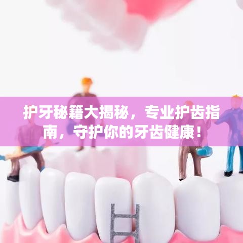 護(hù)牙秘籍大揭秘，專業(yè)護(hù)齒指南，守護(hù)你的牙齒健康！