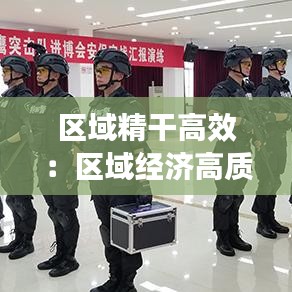 區(qū)域精干高效：區(qū)域經(jīng)濟高質(zhì)量發(fā)展舉措 