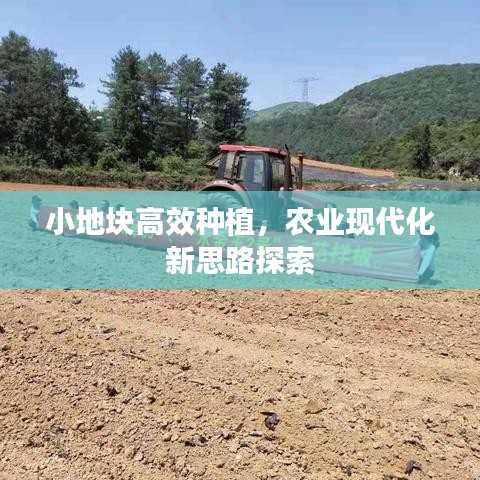 小地塊高效種植，農(nóng)業(yè)現(xiàn)代化新思路探索