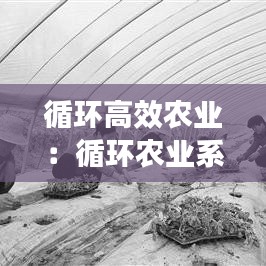 循環(huán)高效農(nóng)業(yè)：循環(huán)農(nóng)業(yè)系統(tǒng) 