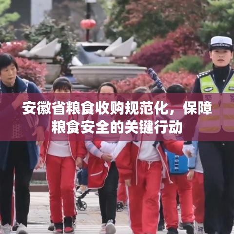 安徽省糧食收購規(guī)范化，保障糧食安全的關鍵行動