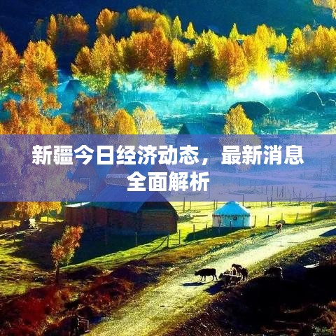 新疆今日經(jīng)濟動態(tài)，最新消息全面解析