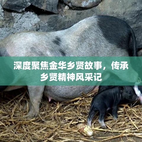 深度聚焦金華鄉(xiāng)賢故事，傳承鄉(xiāng)賢精神風(fēng)采記