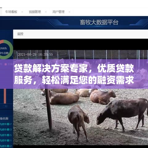 貸款解決方案專家，優(yōu)質(zhì)貸款服務(wù)，輕松滿足您的融資需求！