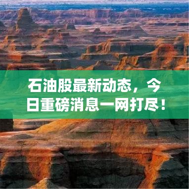 石油股最新動(dòng)態(tài)，今日重磅消息一網(wǎng)打盡！