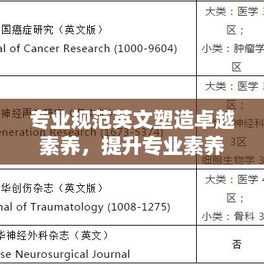專業(yè)規(guī)范英文塑造卓越素養(yǎng)，提升專業(yè)素養(yǎng)的關(guān)鍵之道