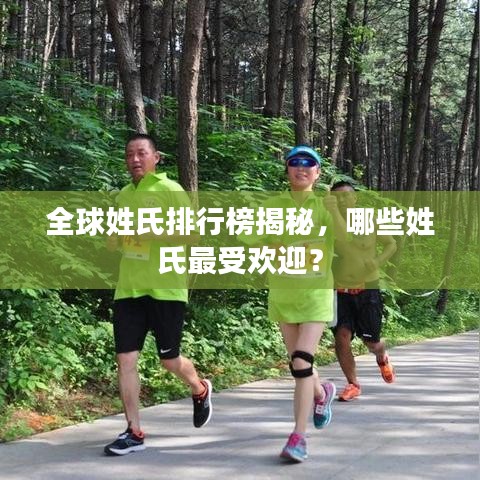 全球姓氏排行榜揭秘，哪些姓氏最受歡迎？