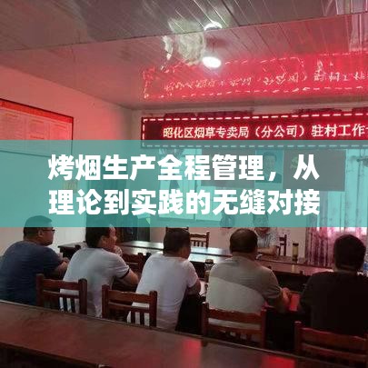 烤煙生產(chǎn)全程管理，從理論到實踐的無縫對接