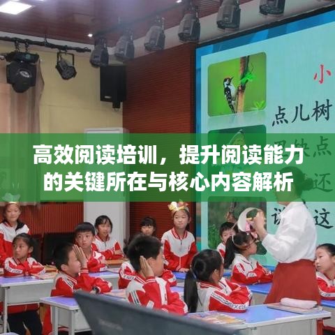 高效閱讀培訓(xùn)，提升閱讀能力的關(guān)鍵所在與核心內(nèi)容解析