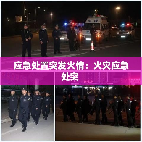 應(yīng)急處置突發(fā)火情：火災(zāi)應(yīng)急處突 